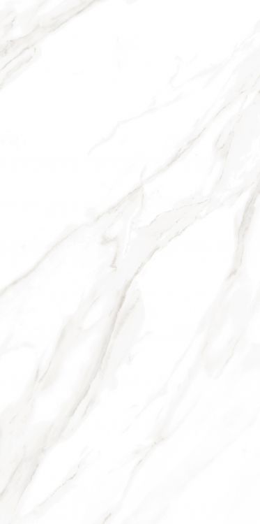 EC Calacatta Gold Polished 24 x 48